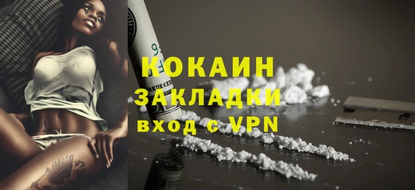 дживик Семилуки