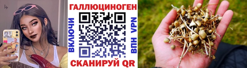 гидра tor  магазин продажи наркотиков  Лабинск  Псилоцибиновые грибы Magic Shrooms 