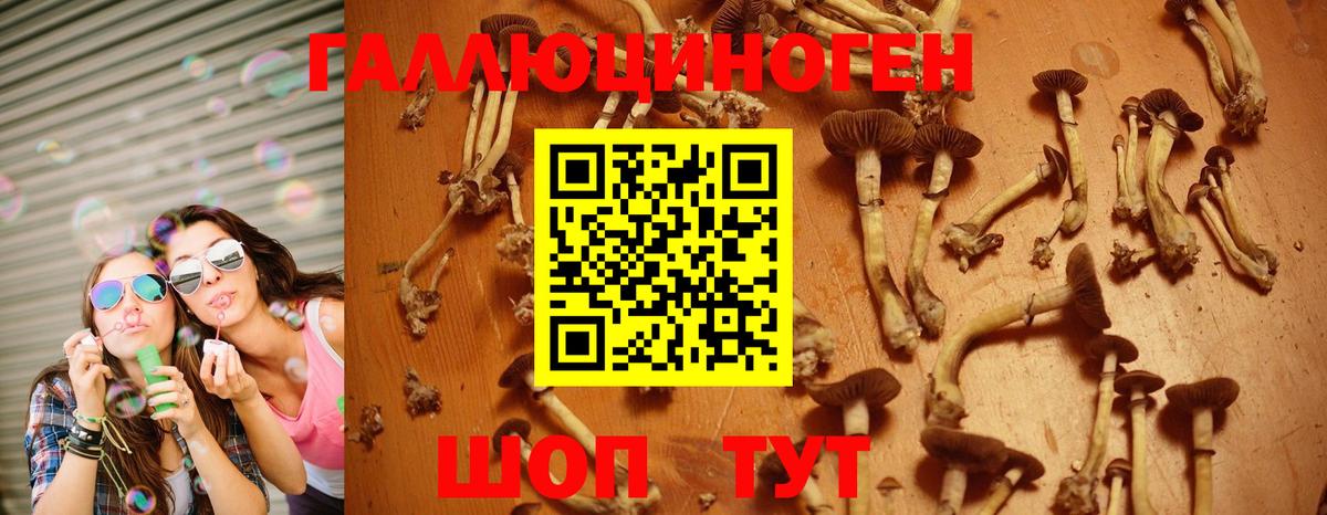 Псилоцибиновые грибы Magic Shrooms Лабинск